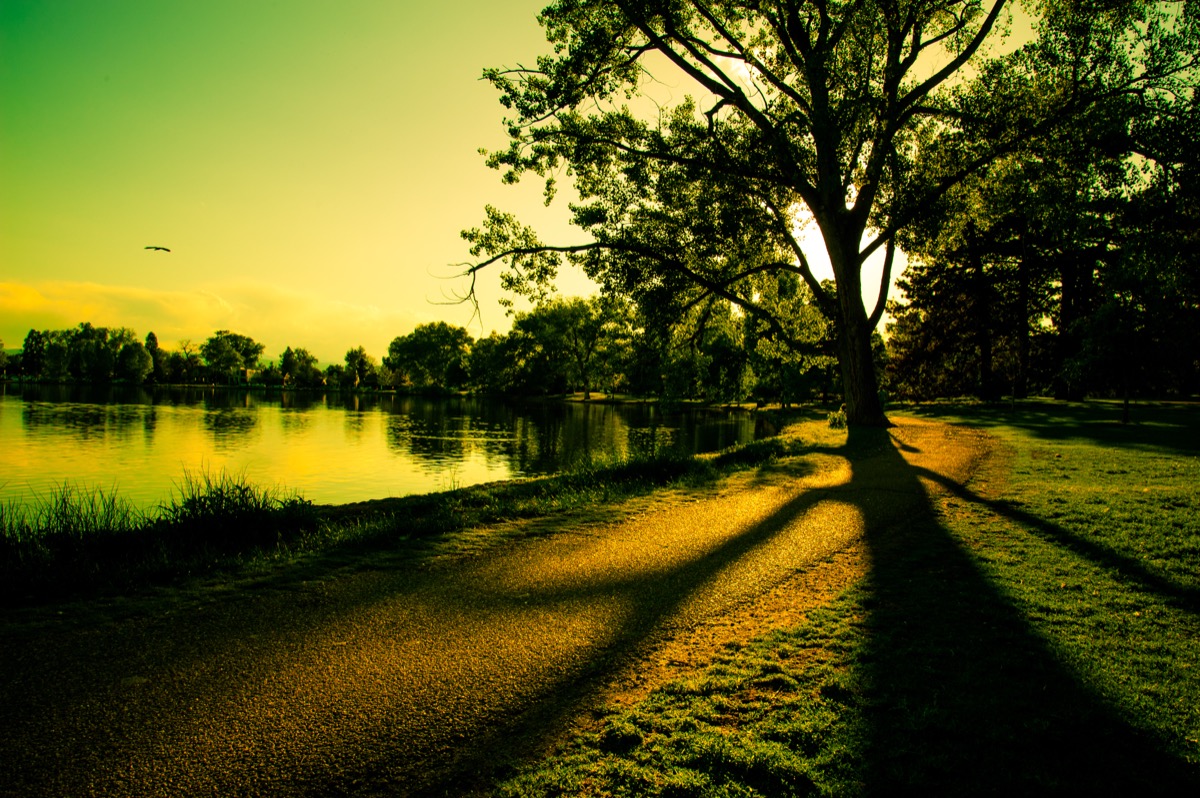 Renting Out Your Washington Park Home: What Denver Landlords Need to Know (2026)